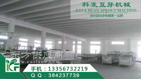 自動豆芽設備廠家 山東科發豆芽機械公司 周口豆芽設備廠家圖片
