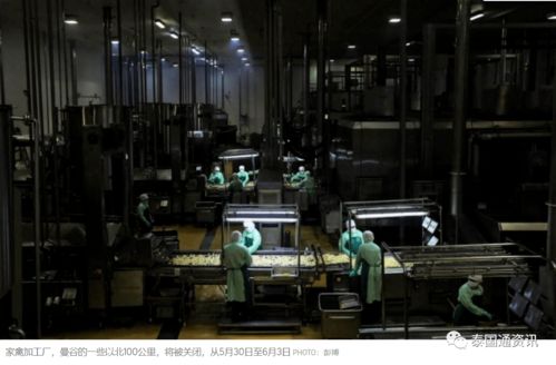 引發普遍擔憂 泰國最大肉聯廠爆發聚集性感染200多人確診