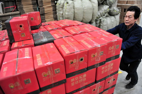 湖北宜昌 節(jié)前電商賣橙忙