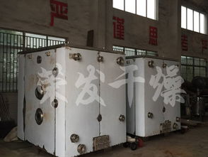 湖北宜昌食品公司與榮發(fā)干燥合作，引進(jìn)恒特發(fā)薯條烘干機助力產(chǎn)業(yè)升級